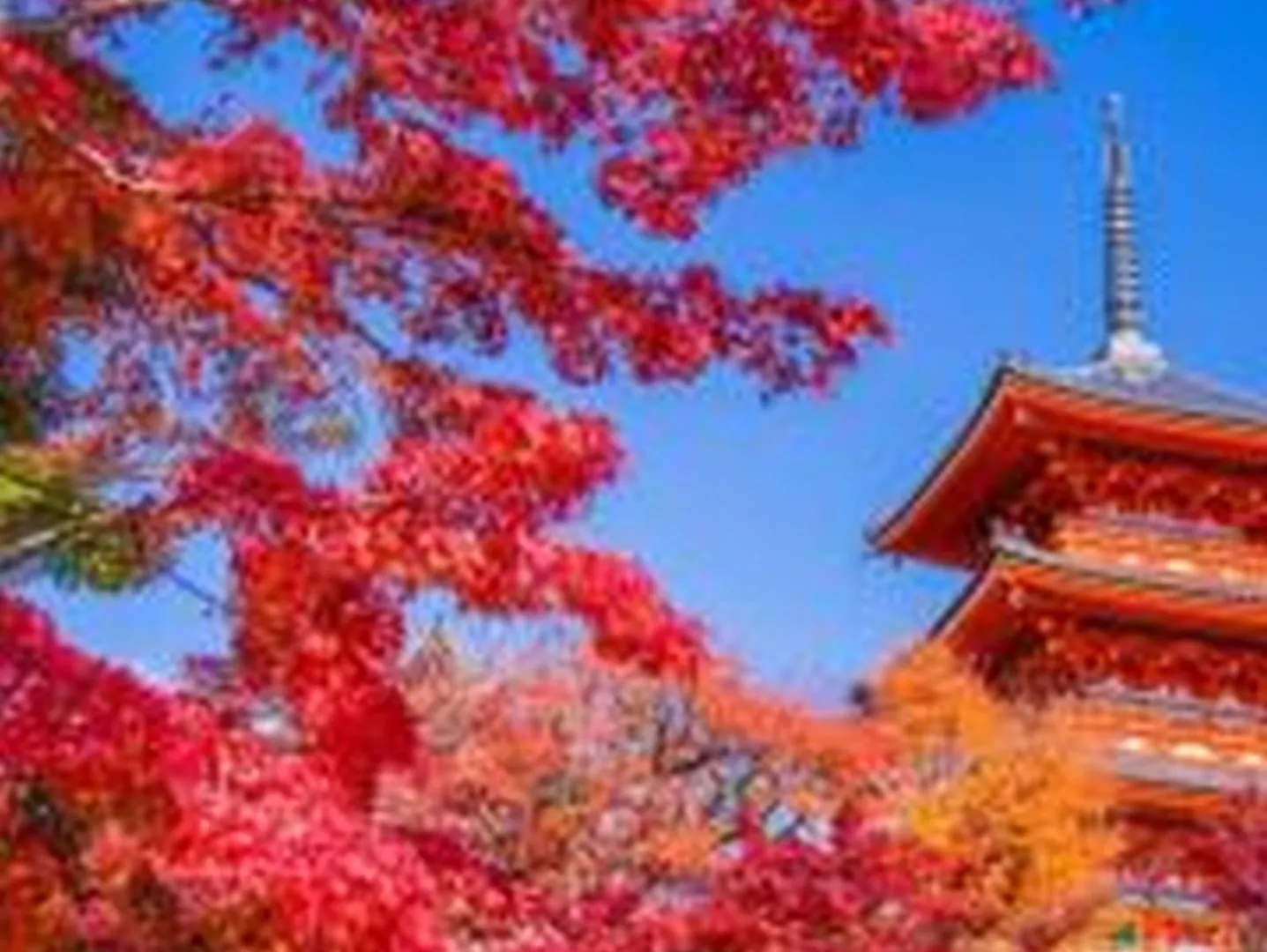 大阪市むつみ庵此花701アパートメント 日本